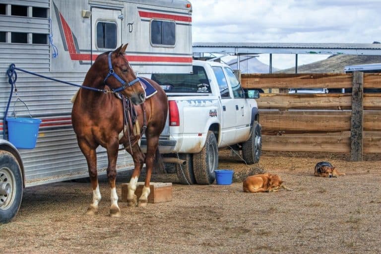 Does Auto Insurance Cover Trailers