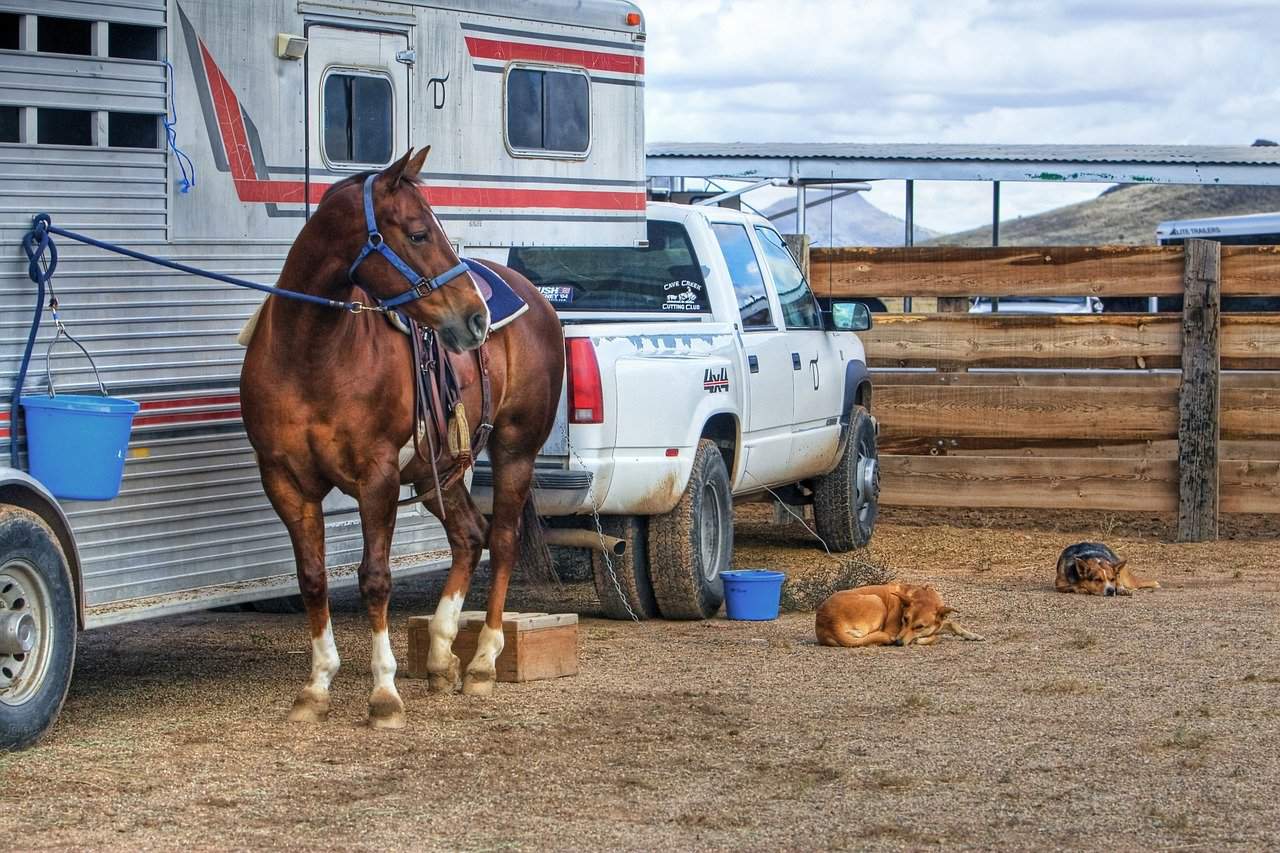 Do I Need Insurance For Trailer